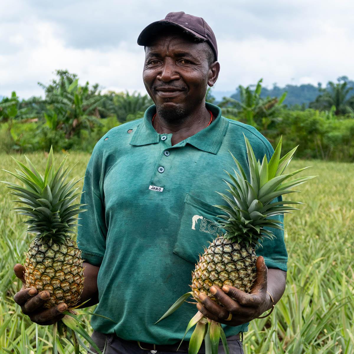 Ananas séché Bio