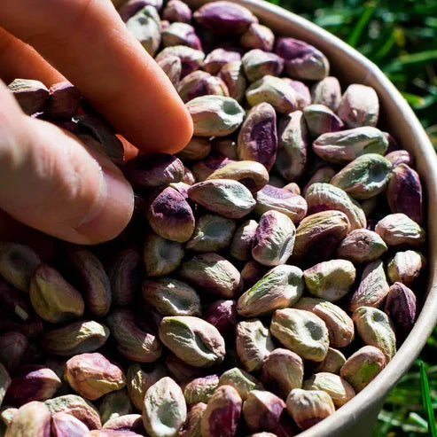 Pistache décortiquée Bio