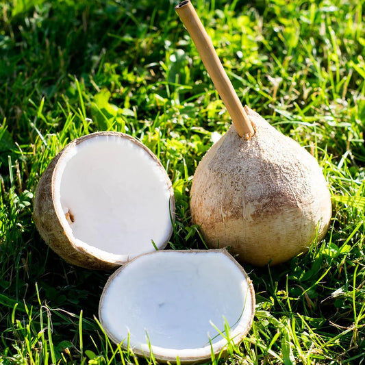 Noix de coco jeune Light