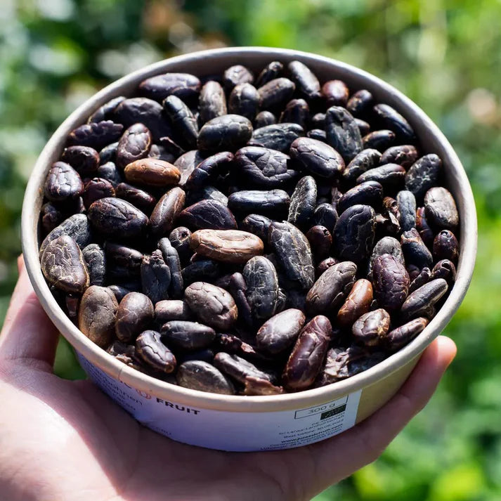 Fèves de cacao décortiquées et séchées Bio