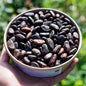 Fèves de cacao décortiquées et séchées Bio
