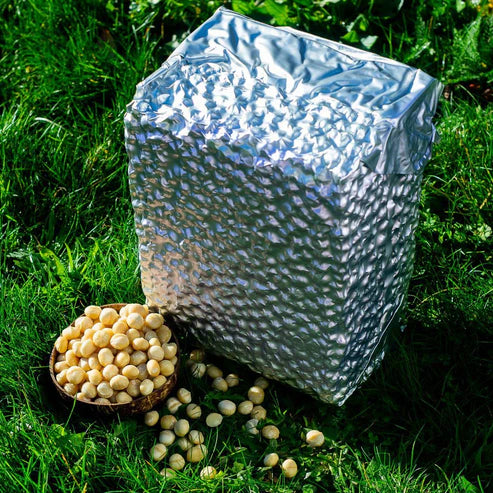 Noix de macadamia Bio