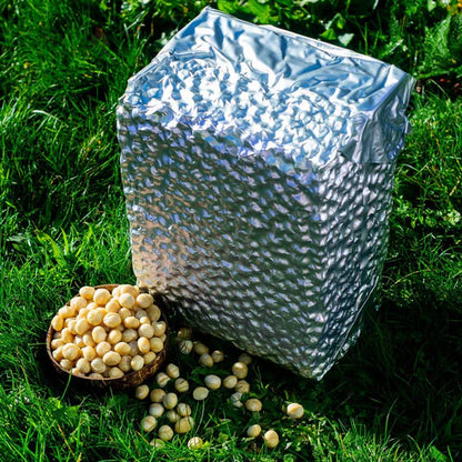 Noix de macadamia Bio
