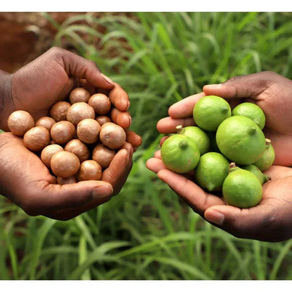 Noix de macadamia Bio