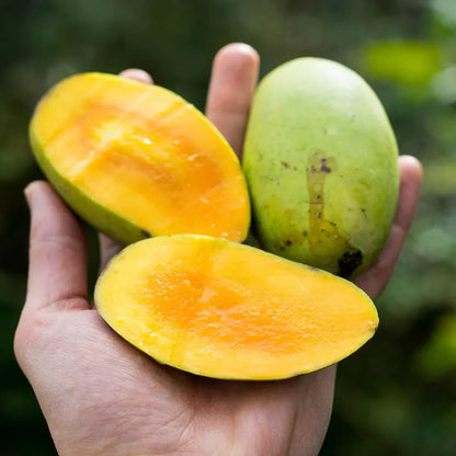 Mangue Émeraude sauvage séchée en lamelles