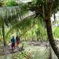 Noix de coco jeune Light